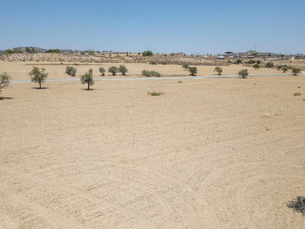 Field-Agglisides-PR13084