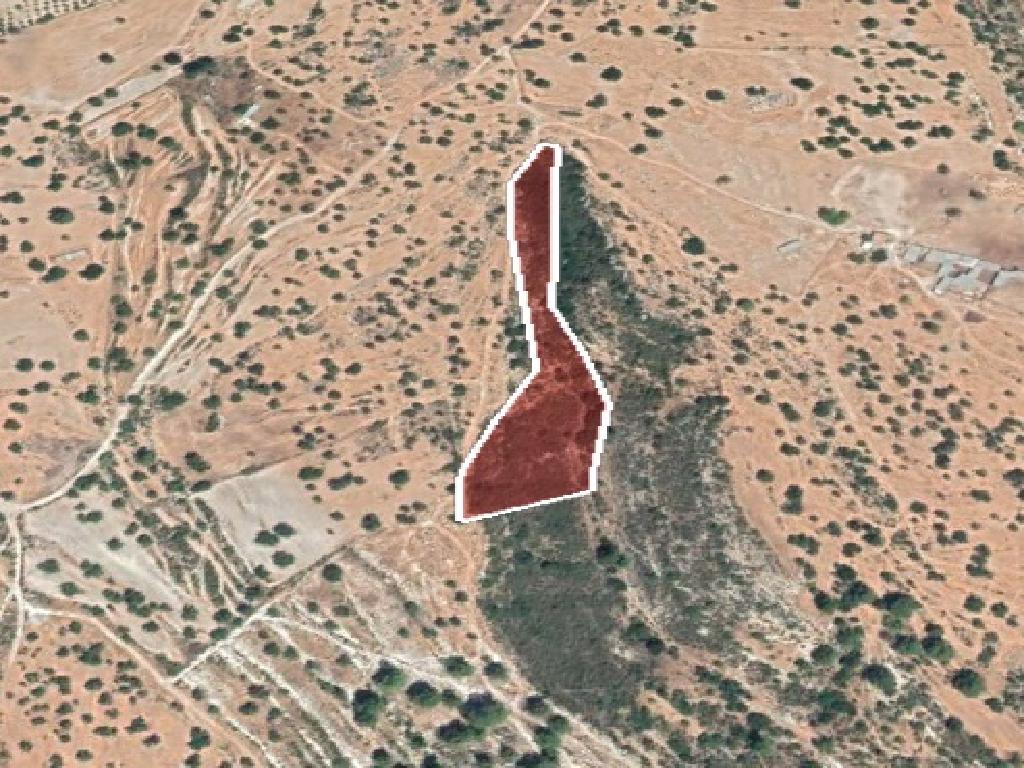 Field-Pachna-PR12027