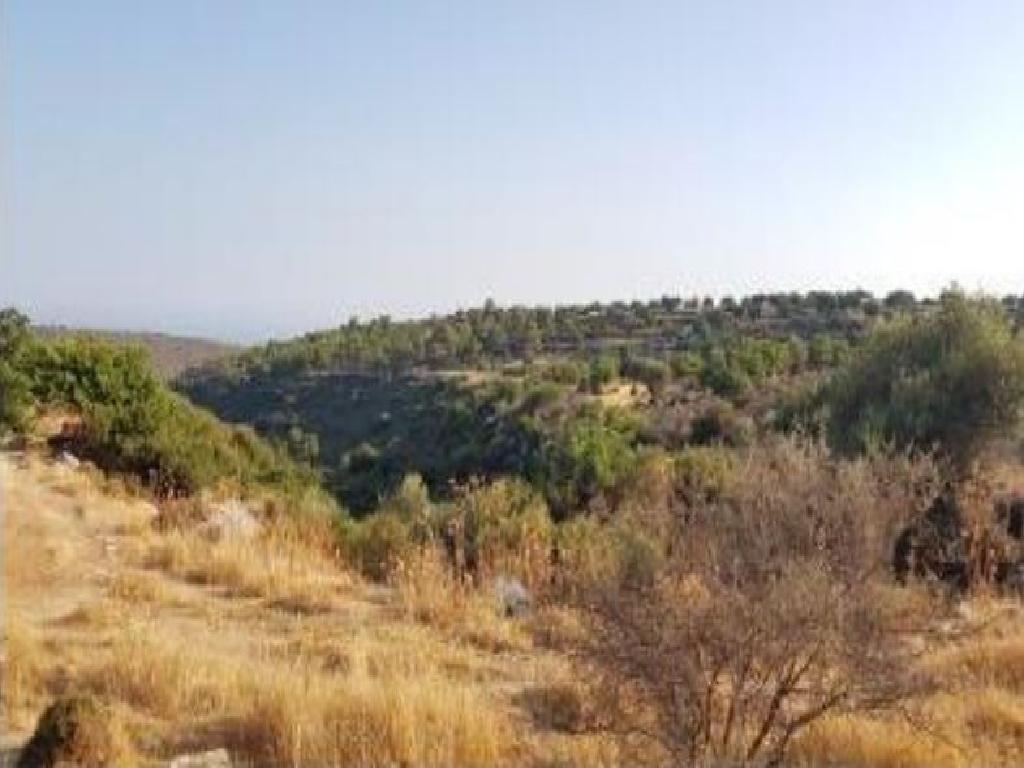 Field-Pachna-PR12027