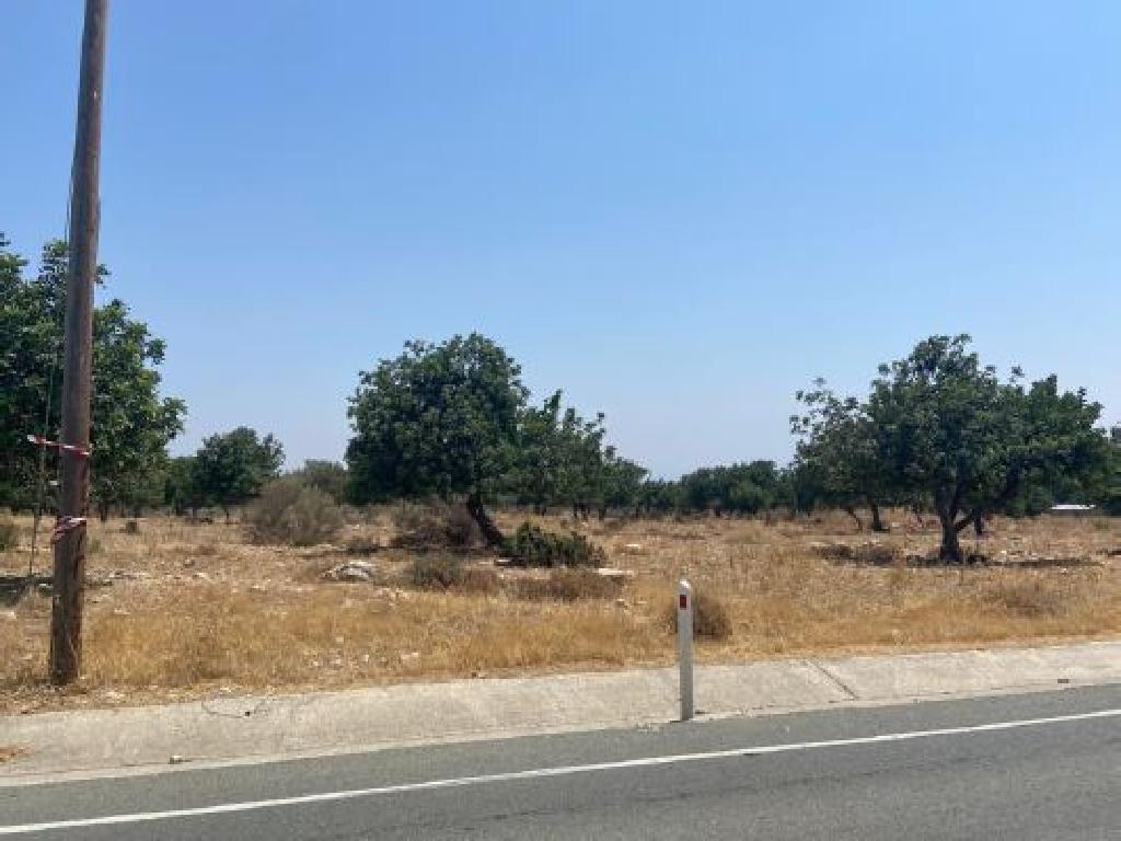 Field-Pachna-PR12027