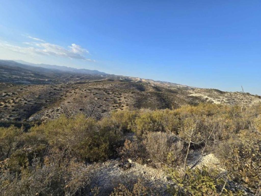 Field - Kalavassos, Larnaca