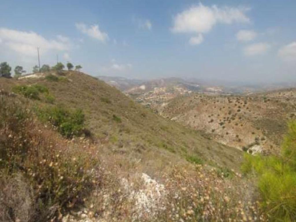 Field - Kalavassos, Larnaca