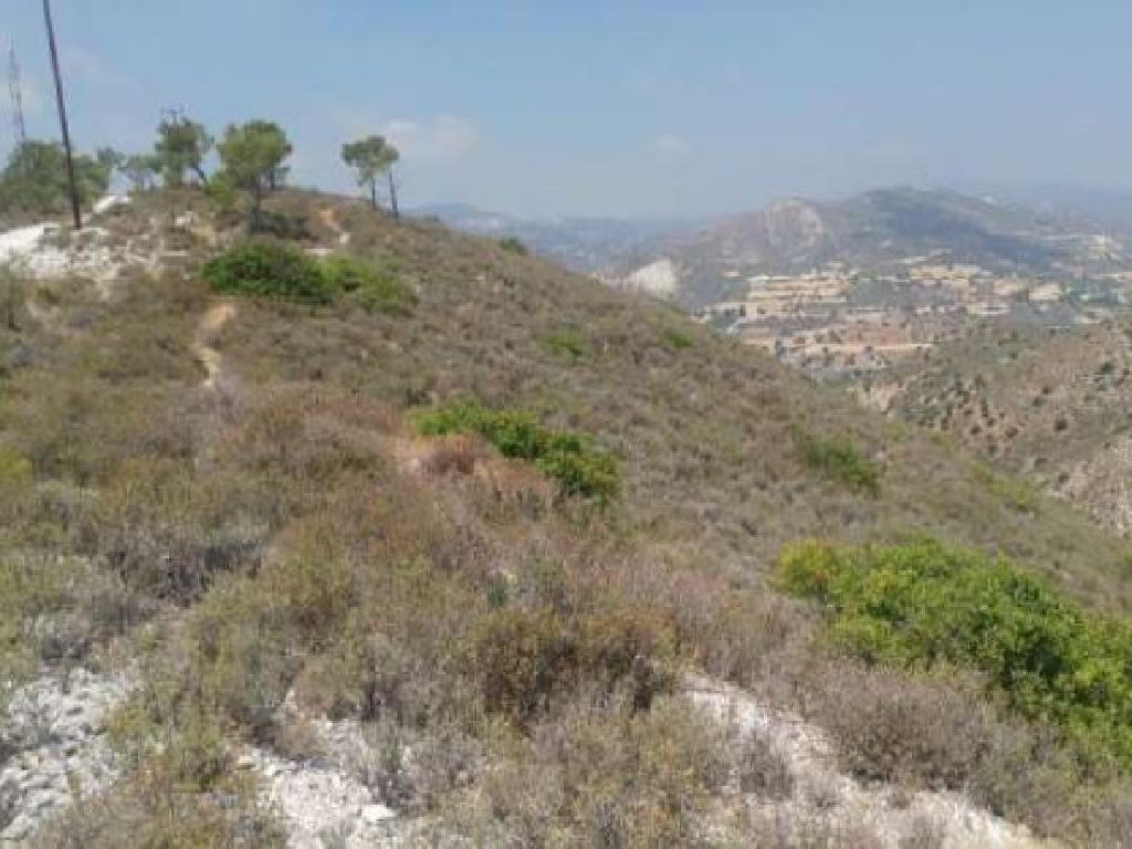 Field - Kalavassos, Larnaca
