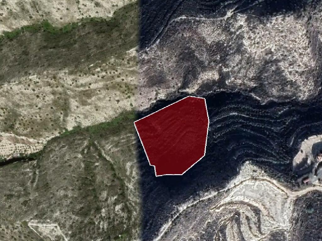Field - Kalavassos, Larnaca