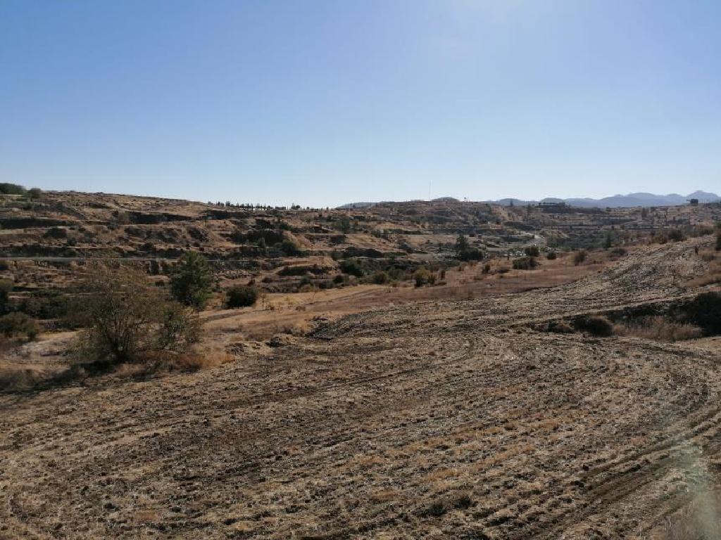 Field-Agrokipia-PR34612