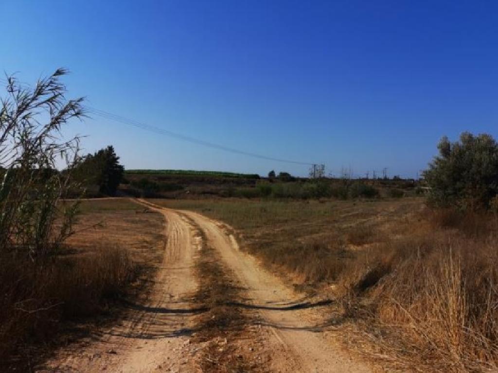 Field - Frenaros, Famagusta