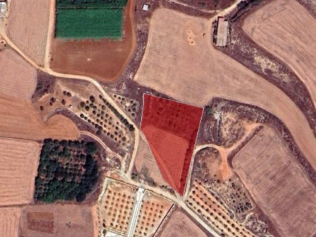 Field - Frenaros, Famagusta