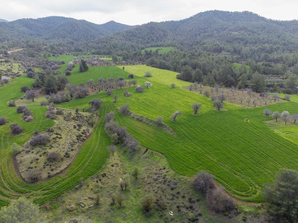 Field-Klirou-PR37828