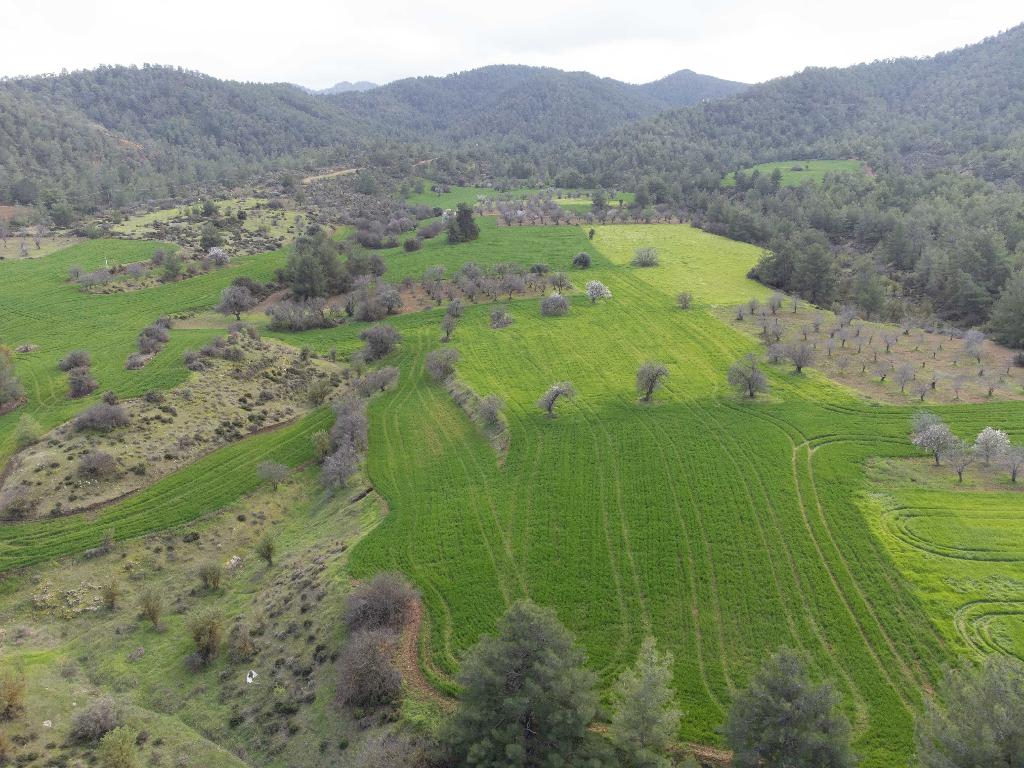 Field-Klirou-PR37828