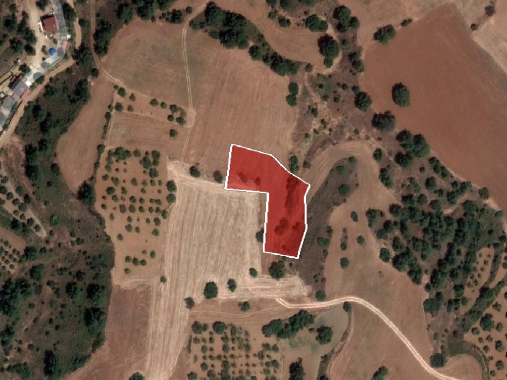 Field-Klirou-PR37828