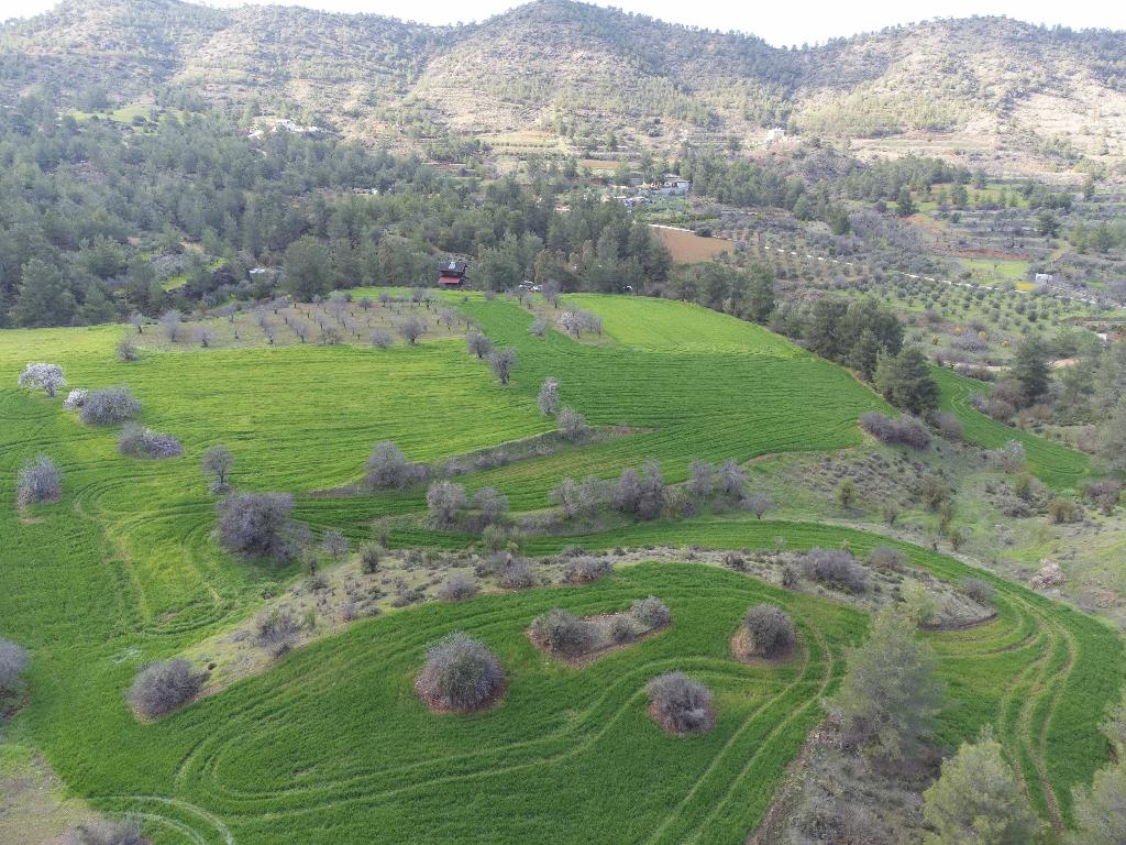Field-Klirou-PR37828