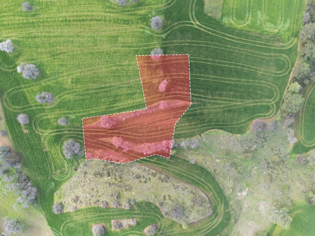 Field-Klirou-PR37828