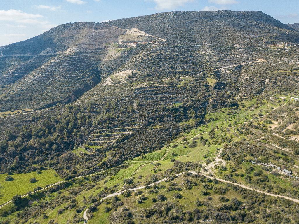 Field - Mathikoloni, Limassol