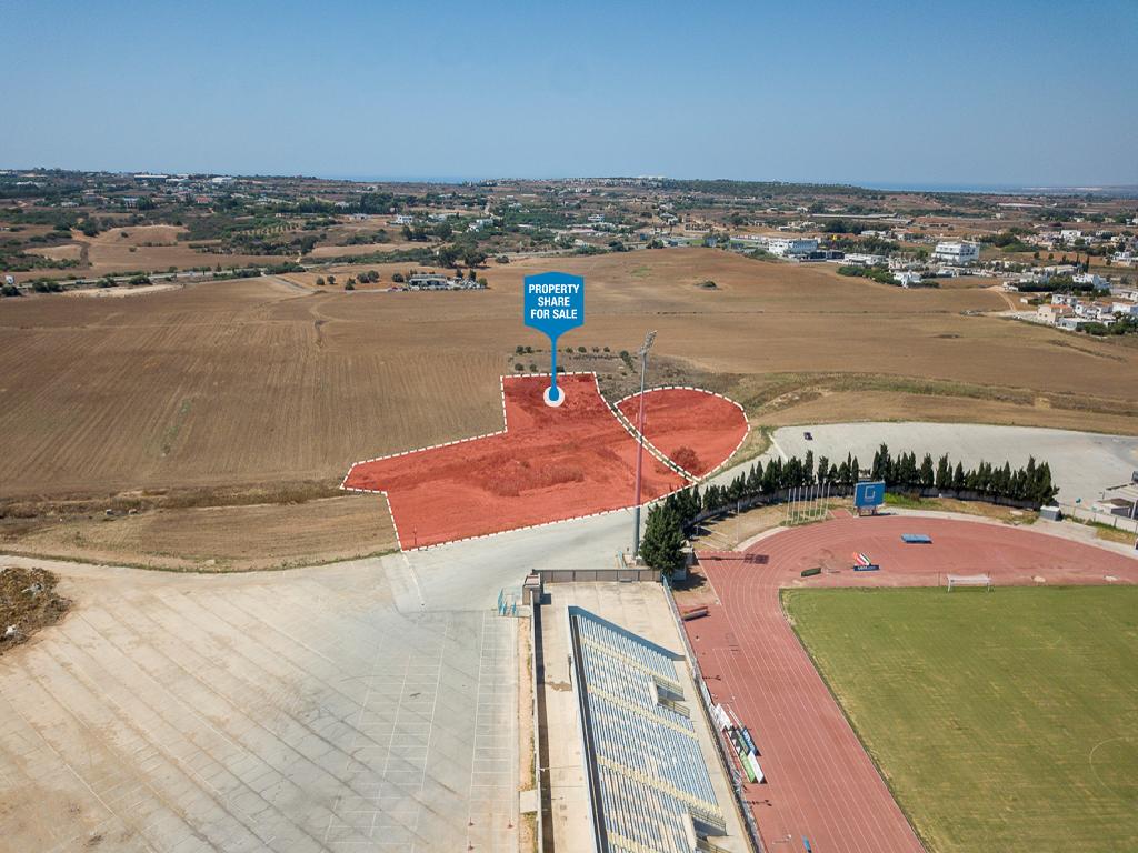 Field-Paralimni-PR39335
