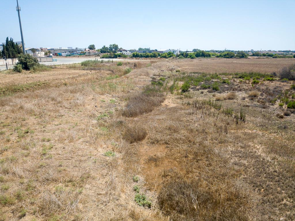 Field-Paralimni-PR39335