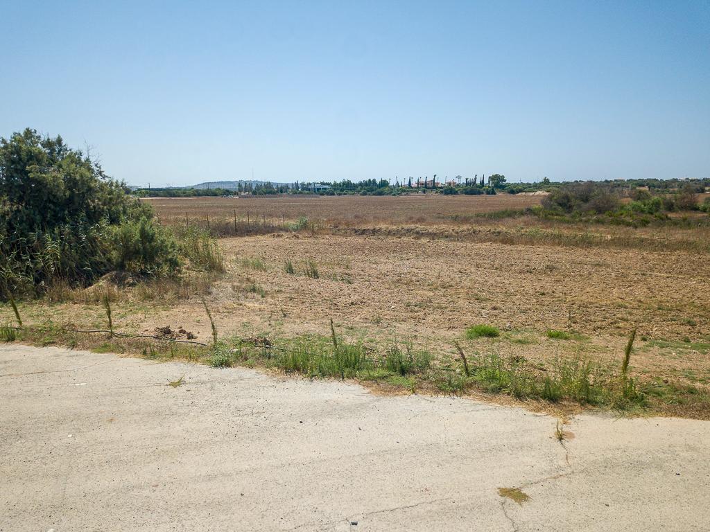 Field-Paralimni-PR39335