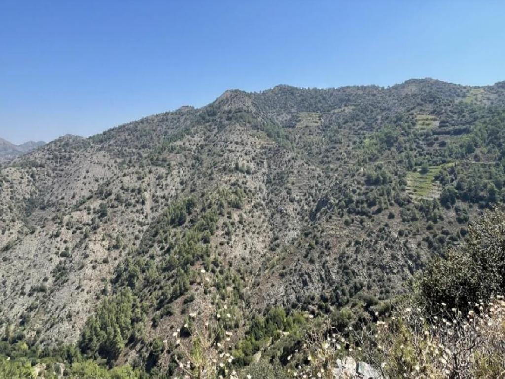 Field-Farmakas-PR39835