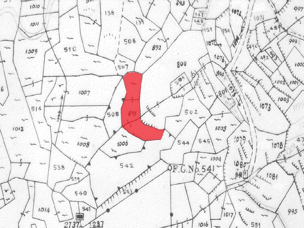 Field-Agios Epifanios (Oreinis)-PR39798