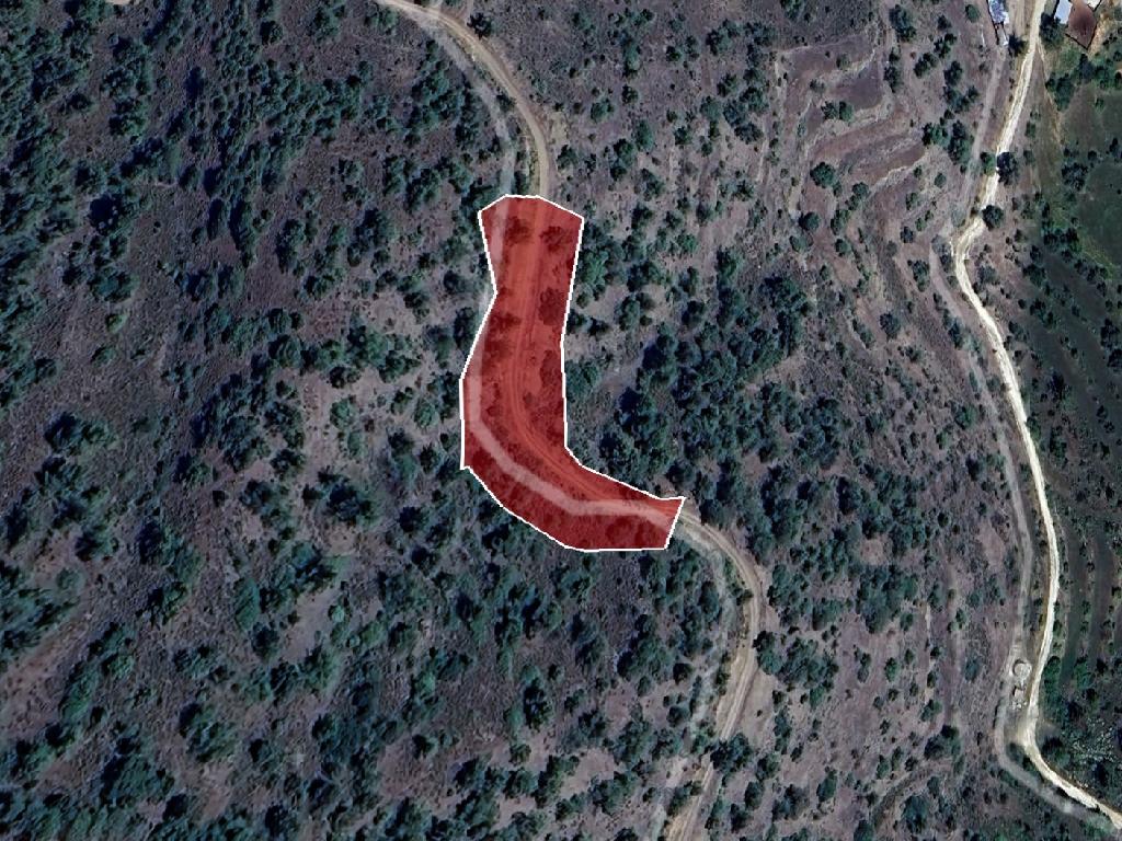 Field-Agios Epifanios (Oreinis)-PR39798