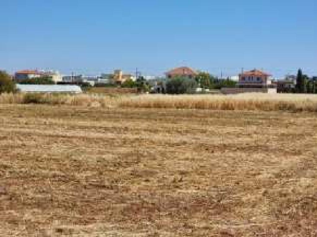 Field (Share) - Deryneia, Famagusta