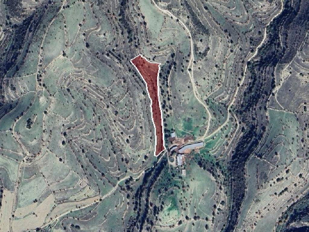 Field-Malia-PR40975