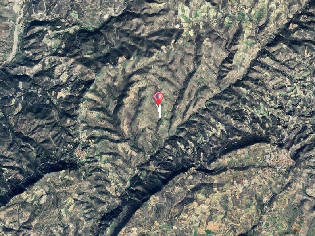 Field-Malia-PR40975