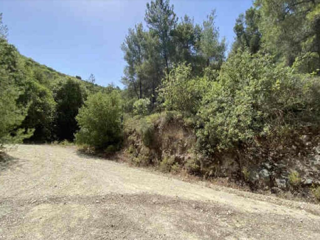 Field - Prastio, Paphos