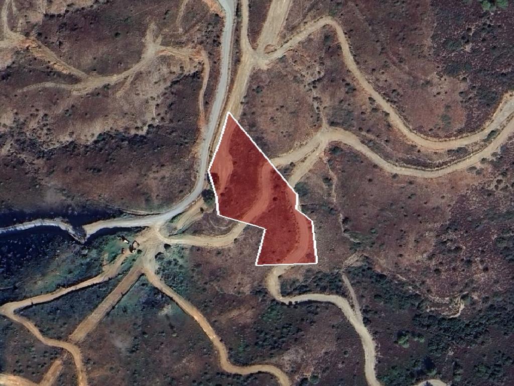 Field-Vavatsinia-PR41752