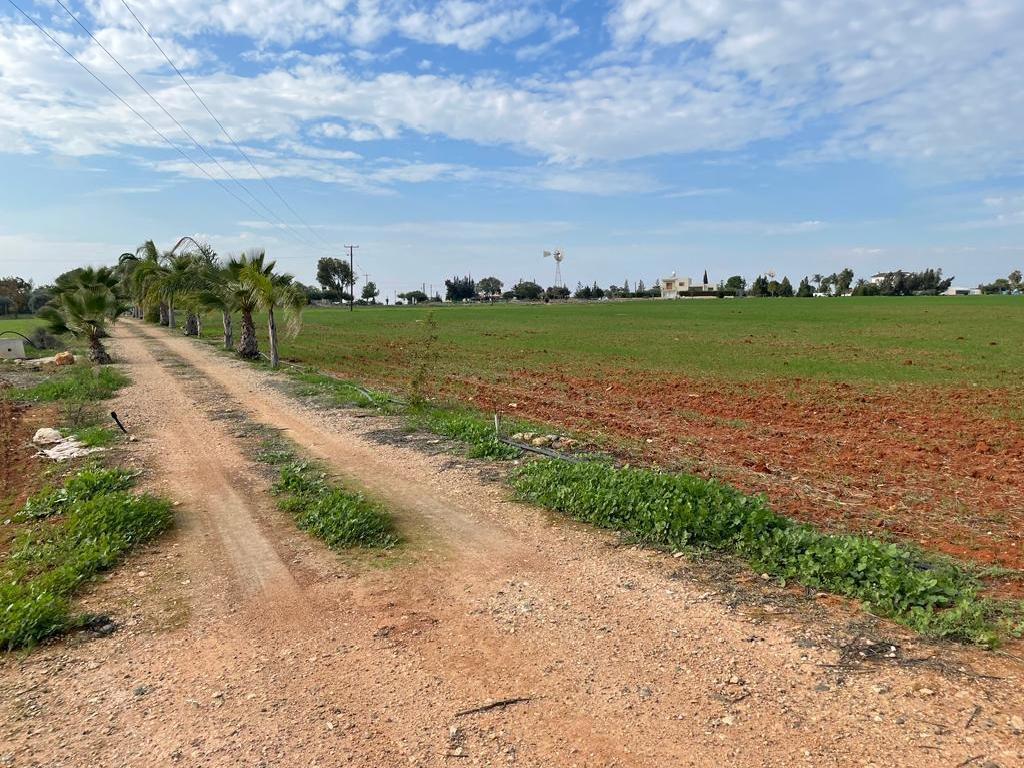 Field-Sotira-PR42427