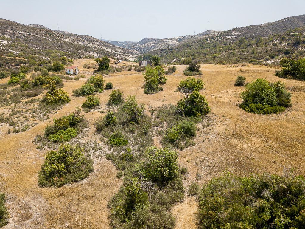 Field-Asgata-PR11783