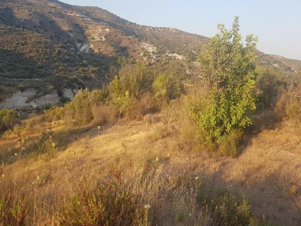 Field-Asgata-PR11783