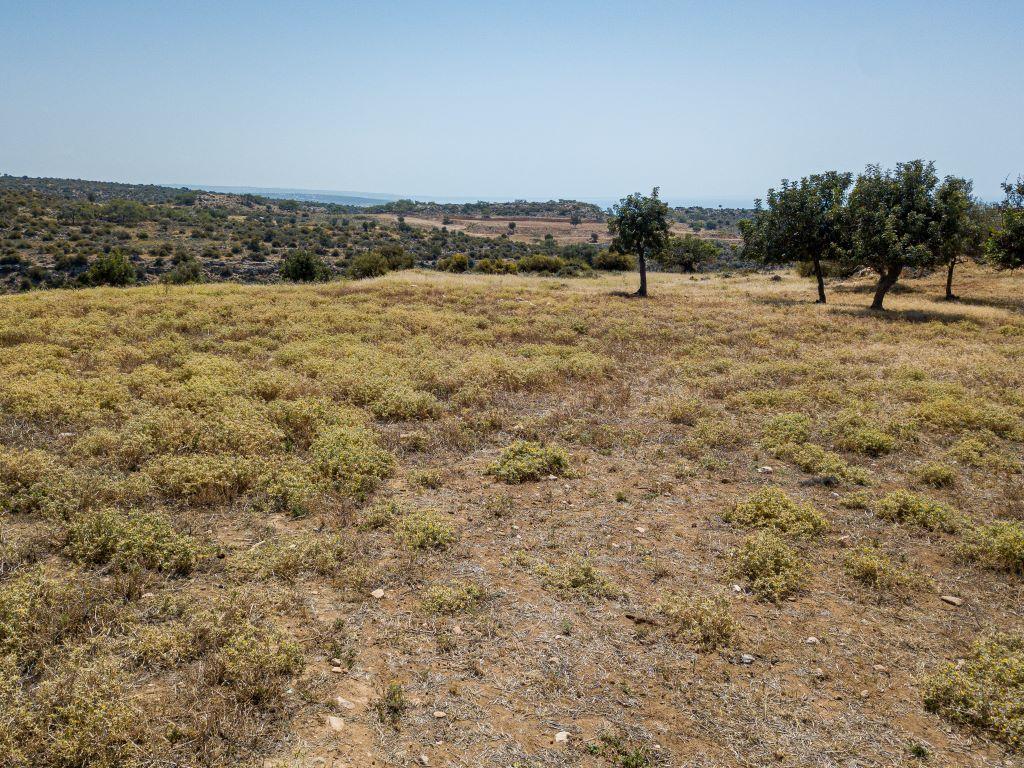Field-Pissouri-PR12939
