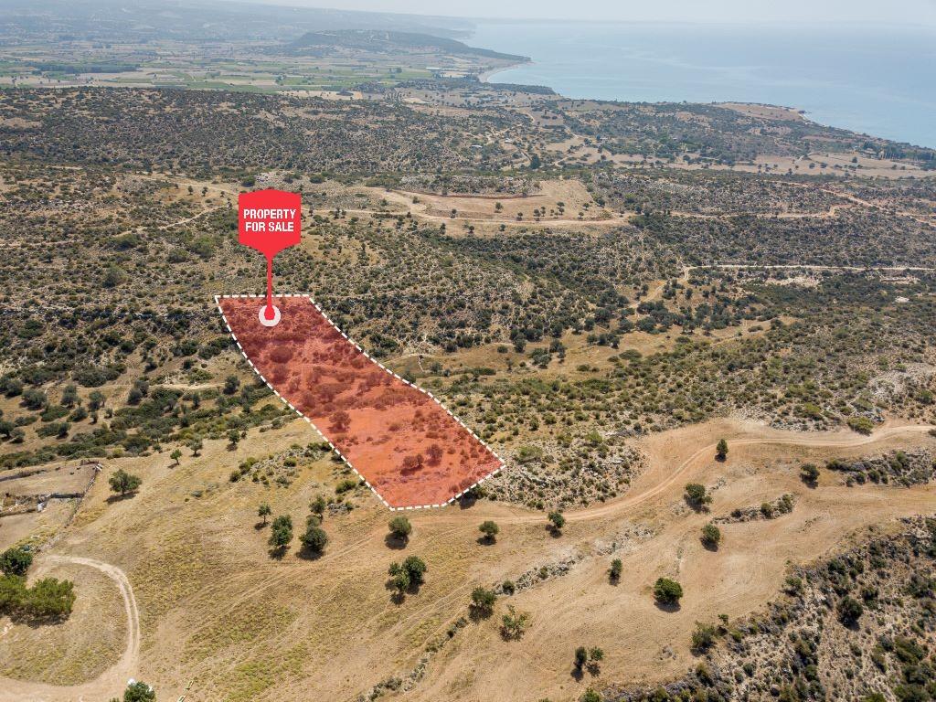 Field-Pissouri-PR12939