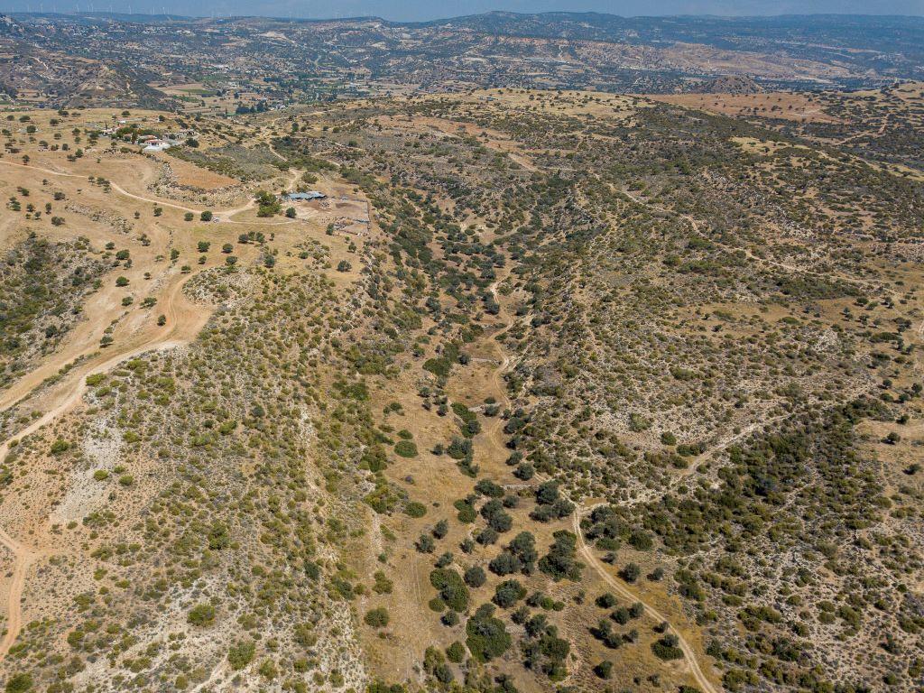 Field-Pissouri-PR12939