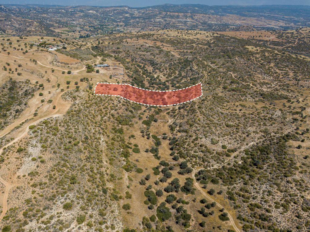 Field-Pissouri-PR12939