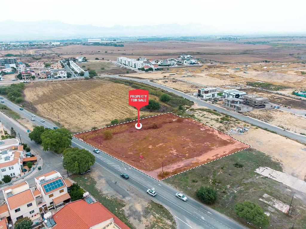 Field - Panagia (SOPAZ), Nicosia