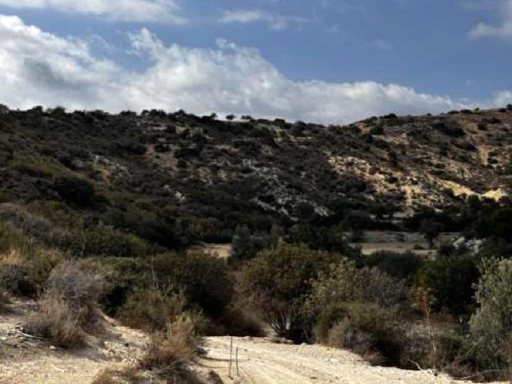 Field - Kalavasos, Larnaca