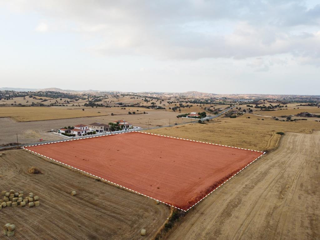Field (Share) -  Alaminos, Larnaca