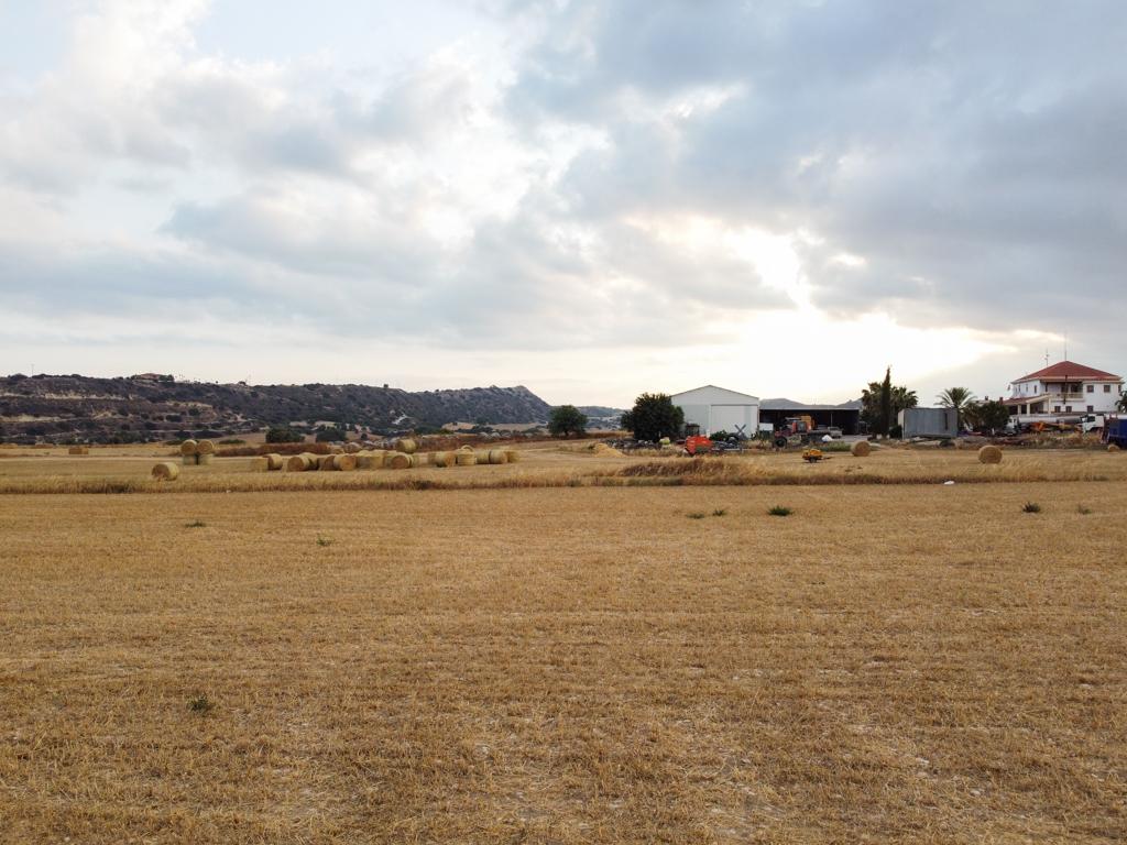 Field (Share) -  Alaminos, Larnaca