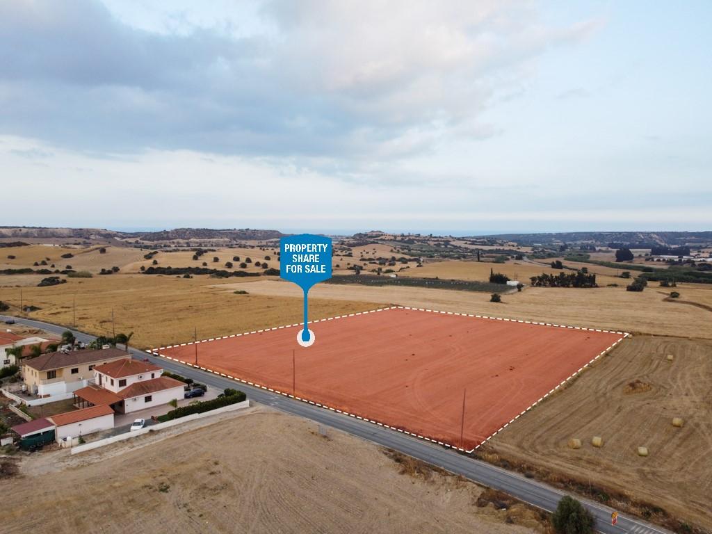 Field (Share) -  Alaminos, Larnaca