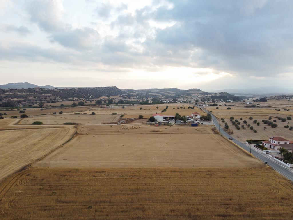 Field (Share) -  Alaminos, Larnaca