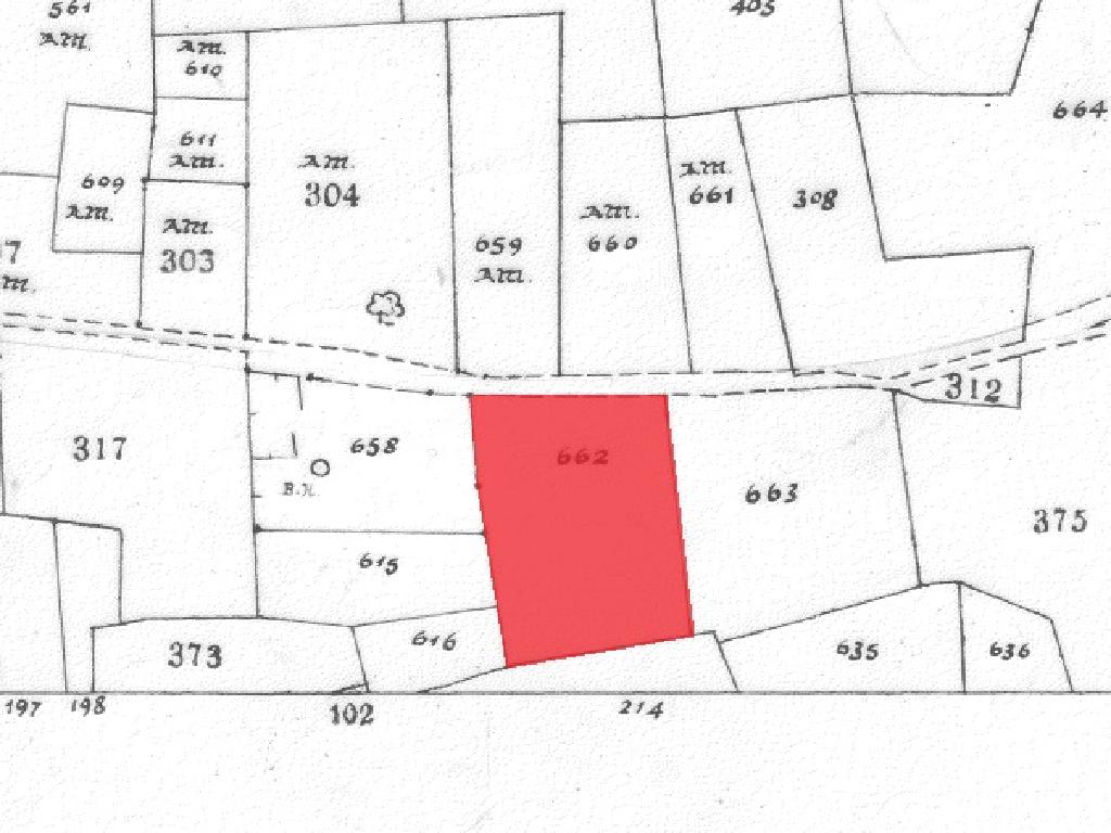 Field-Alaminos-PR32252