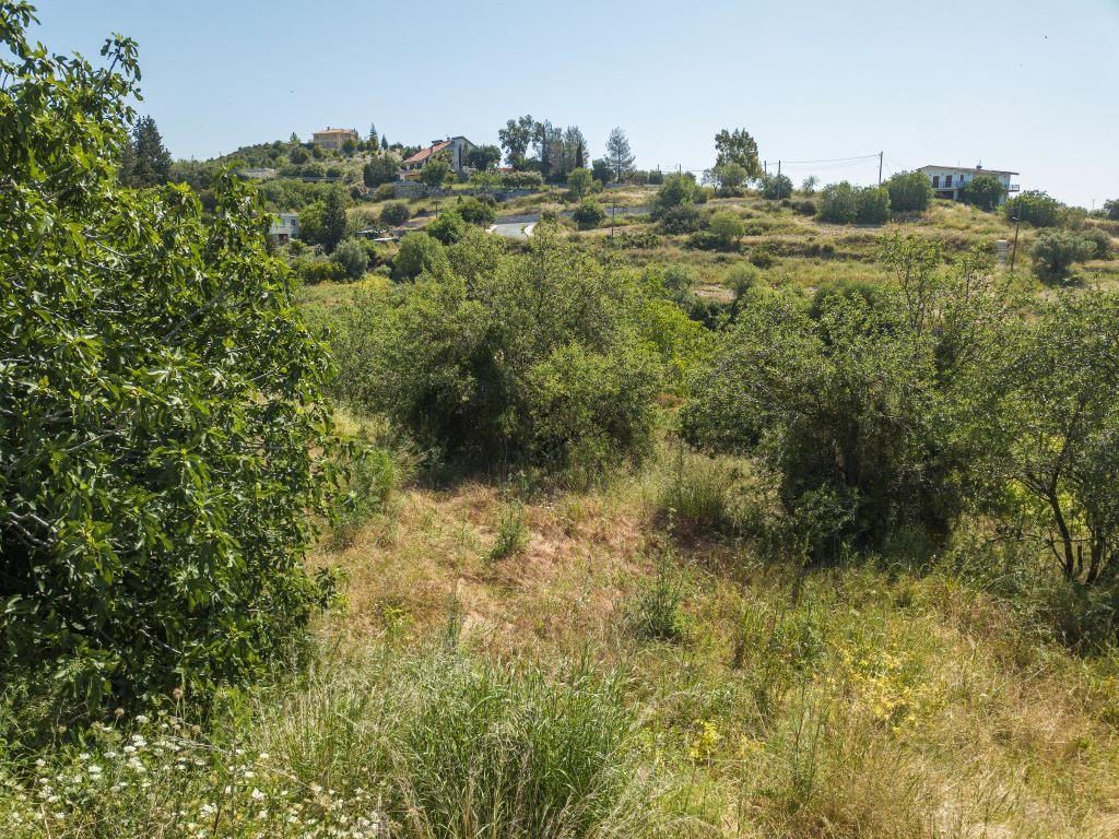 Field - Agios Amvrosios, Limassol