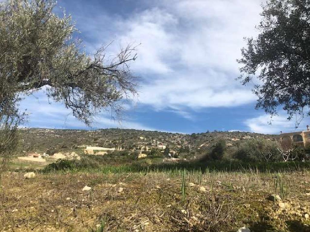 Field-Peristerona-PR34141