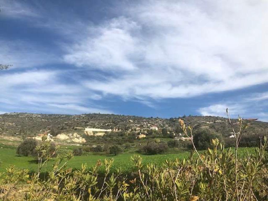 Field-Peristerona-PR34141