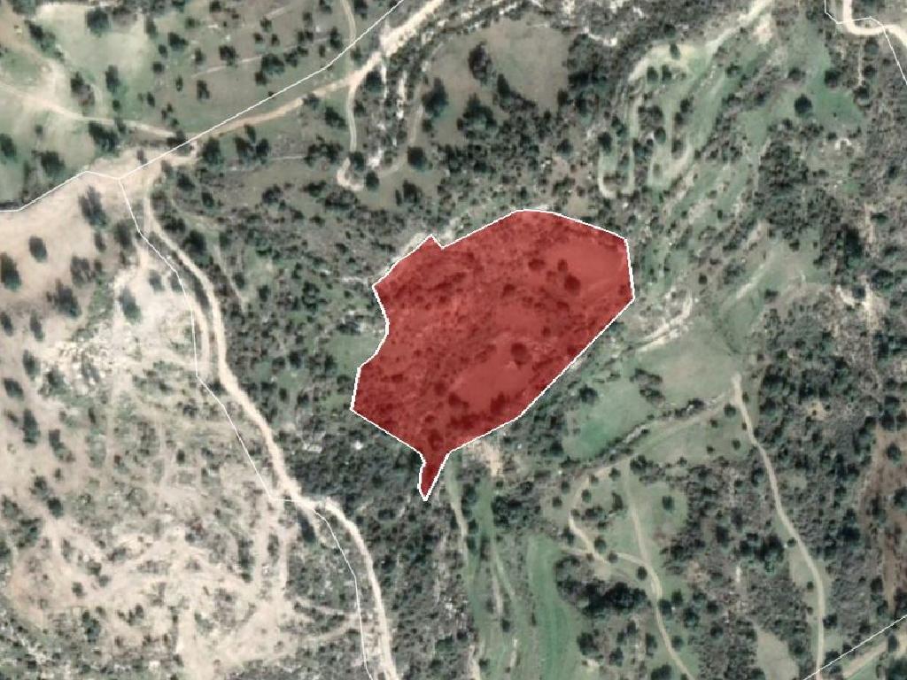 Field-Peristerona-PR34141