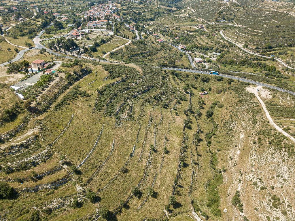 Field (Share) - Agios Amvrosios, Limassol