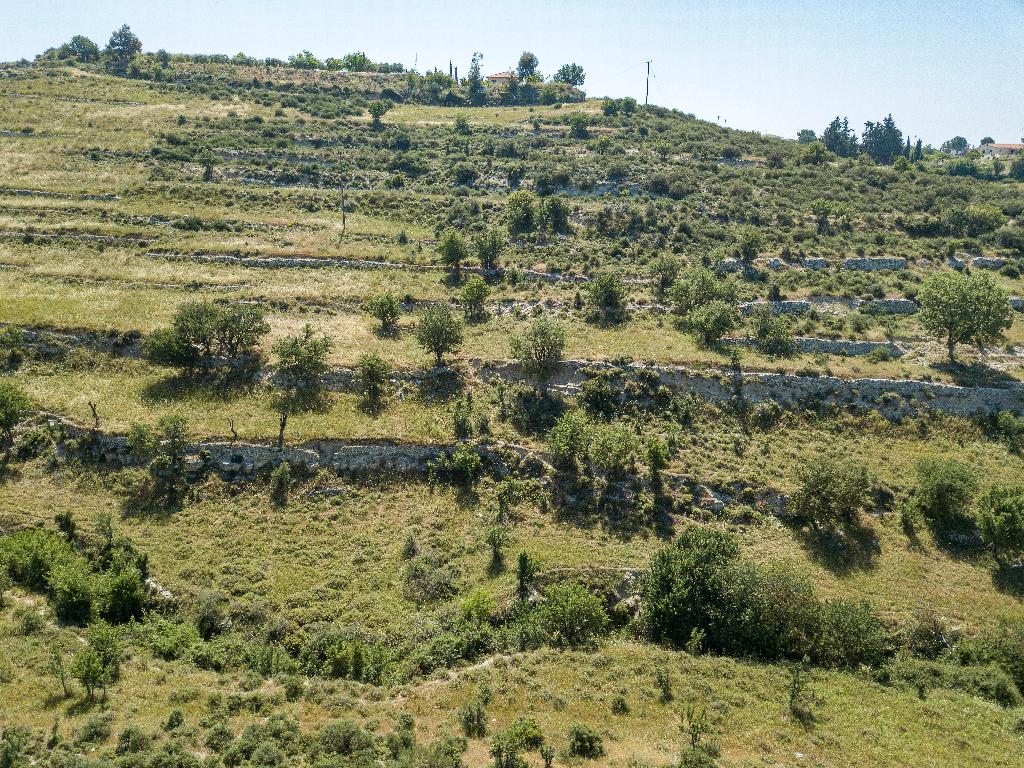 Field (Share) - Agios Amvrosios, Limassol