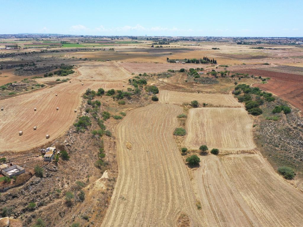 Field-Avgorou-PR34404