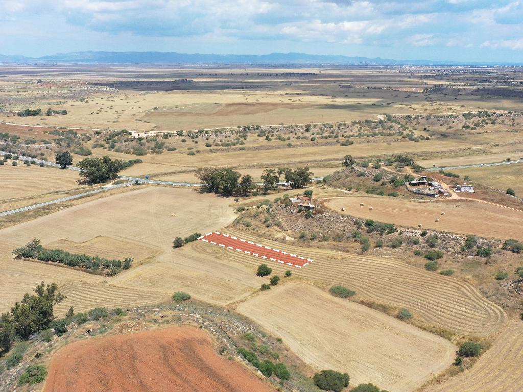 Field-Avgorou-PR34404